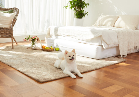 ペットケアマンションの建築